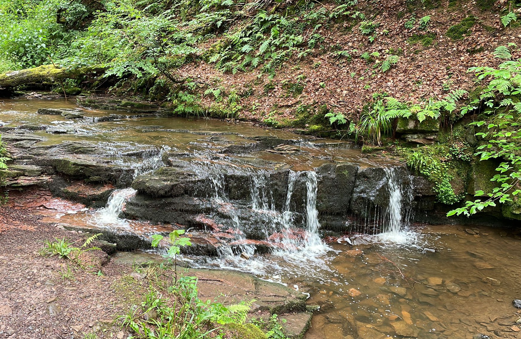 Deine Yoga Auszeit in der Rhön